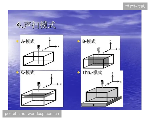 通过引入超声C扫描进行固化过程的数字化模拟与验证，国内领先的桨叶制造商已成功将新款研发过程中的物理破坏性测试样品数量减少了30%